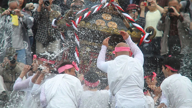 ダイドードリンコスペシャル<br>日本の祭り2016　多摩川を渡れ～八雲神社春季例大祭～